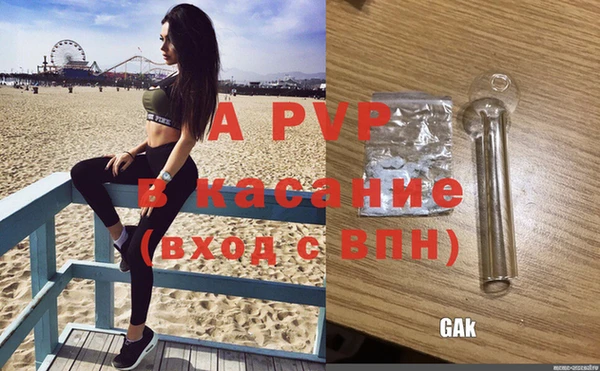 шишки Протвино