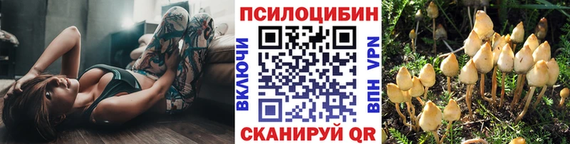 Купить где Владимир Галлюциногенные грибы мухоморы